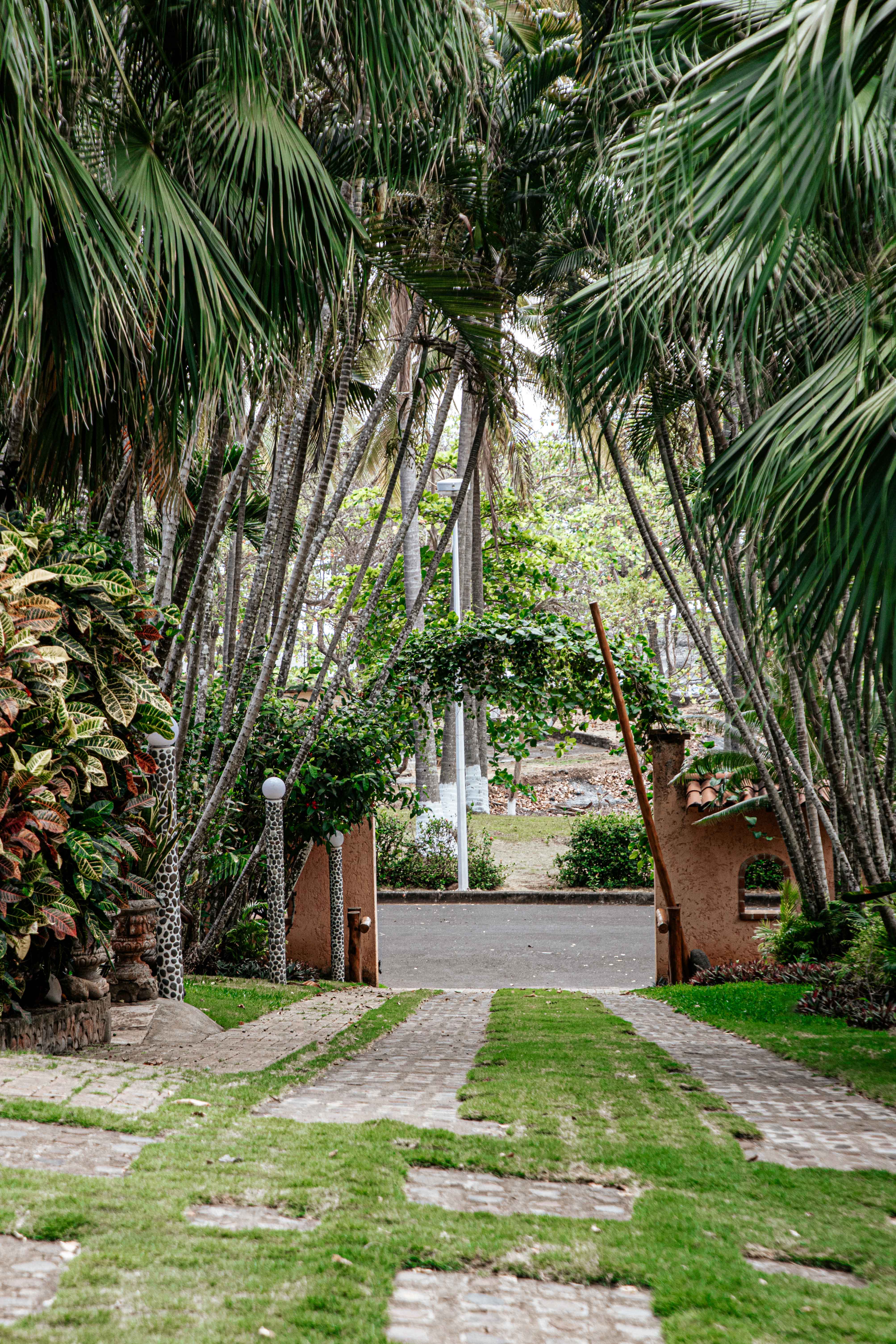 Entrance path through tropical gardens